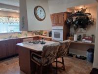 1996 Skyline Manufactured Home
