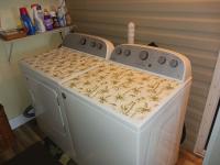 2014 Jac PT Mobile Home
