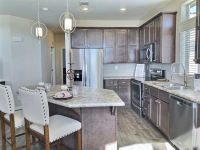 Photo 5 of 25 of home located at 7373 E. U.s. Hwy 60 #317 Gold Canyon, AZ 85118