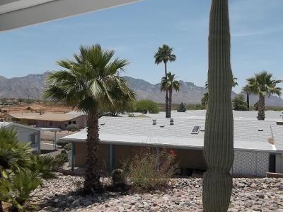Photo 4 of 23 of home located at 15301 N. Oracle Road #45 Tucson, AZ 85739
