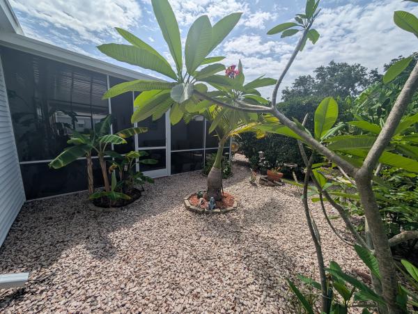2004 Palm Harbor Palm Mobile Home