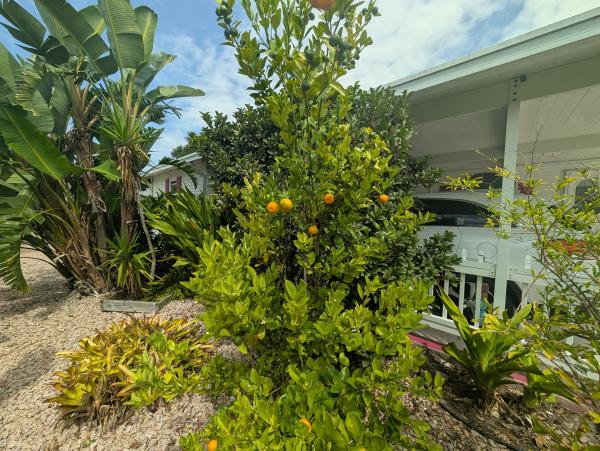 2004 Palm Harbor Palm Mobile Home