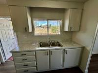 1978 Skyline Mobile Home