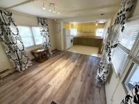 SKYLINE Mobile Home