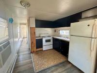 Mobile Home