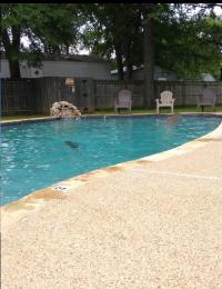 Clayton  Manufactured Home