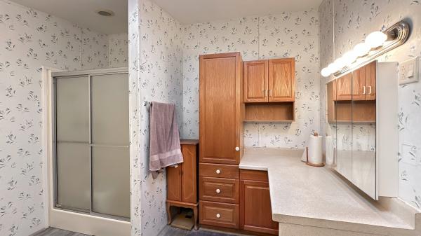 2000 SKYLINE Mobile Home