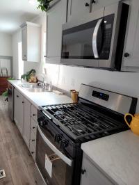 2024 Skyline APEX 3900 Mobile Home