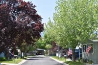 1989 Skyline Oak Manor Manufactured Home