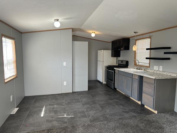 2005 Skyline Mobile Home