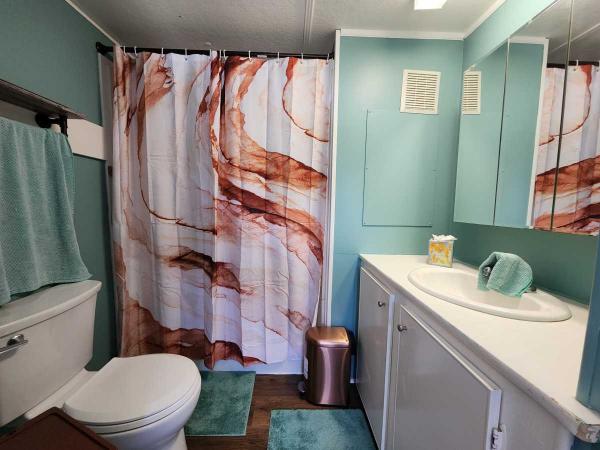 1971 Manufactured Home
