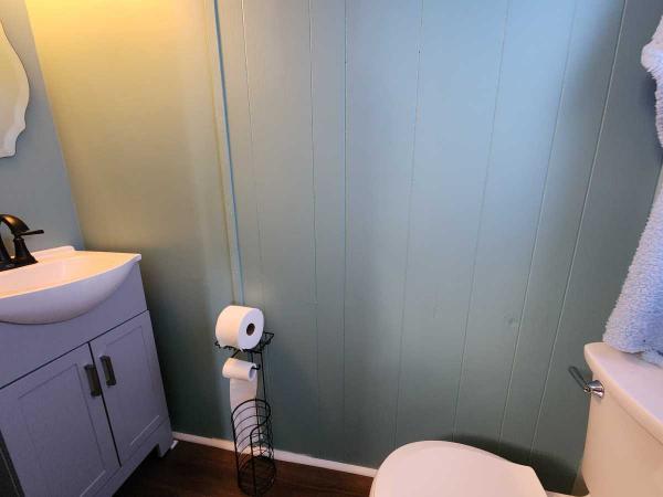 1971 Manufactured Home