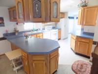 1998 Skyline Manufactured Home