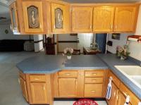 1998 Skyline Manufactured Home