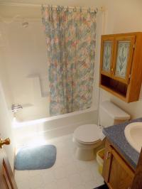 1998 Skyline Manufactured Home