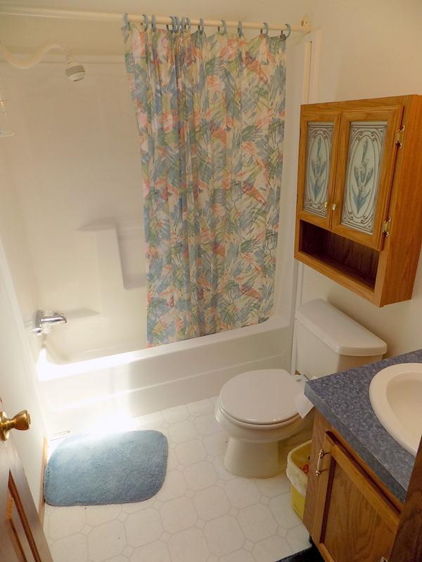 1998 Skyline Manufactured Home