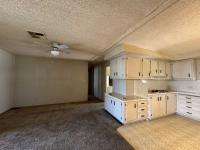 1985 SKYLINE  RAMADA Mobile Home