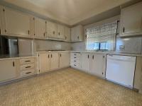 1985 SKYLINE  RAMADA Mobile Home