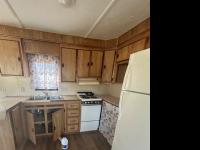 Mobile Home