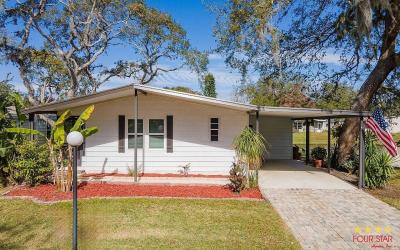 Mobile Home at 17 Sunset Falls Dr Ormond Beach, FL 32174