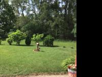 1994 Carrollton n/a Mobile Home