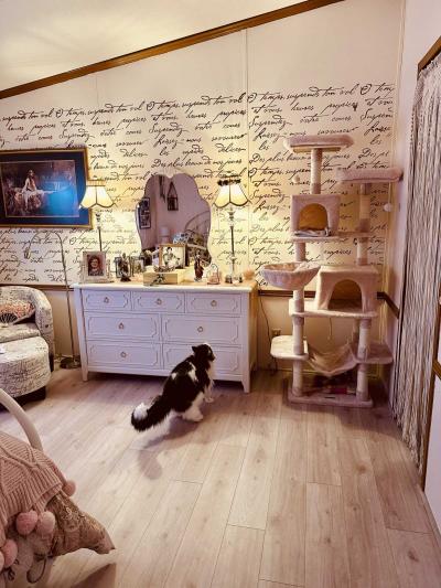 Photo 9 of 8 of home located at 47 Bon Acre Way Averill Park, NY 12018