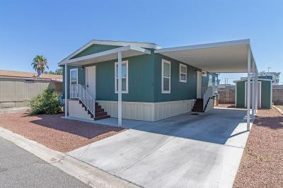 Mobile Home at 3751 S. Nellis Blvd. Las Vegas, NV 89121