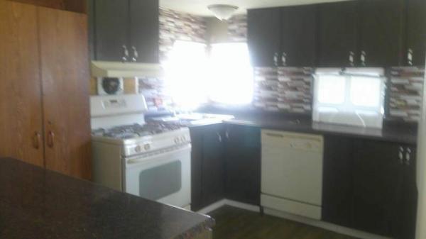 1964 Skyline Manufactured Home