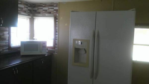 1964 Skyline Manufactured Home