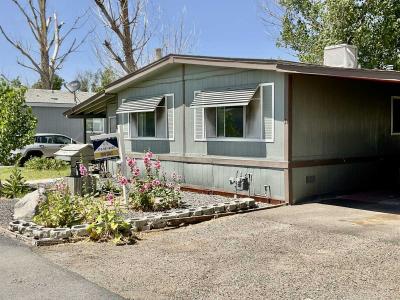 Mobile Home at 101 Lincoln Hwy #31 Wadsworth, NV 89442