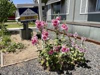 1979 Golden West Somerset Manufactured Home
