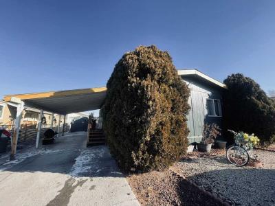 Photo 5 of 29 of home located at 28 Primton Fernley, NV 89408