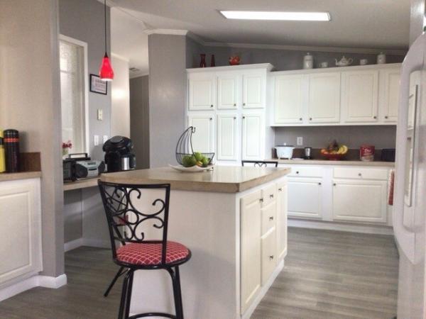 2007 Skyline Skyo Mobile Home