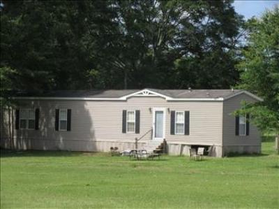 Mobile Home at 203 Pop Runnels Rd Petal, MS 39465