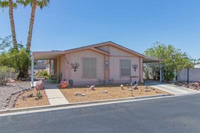 Mobile Home at 1723 Chris Ave. Henderson, NV 89074