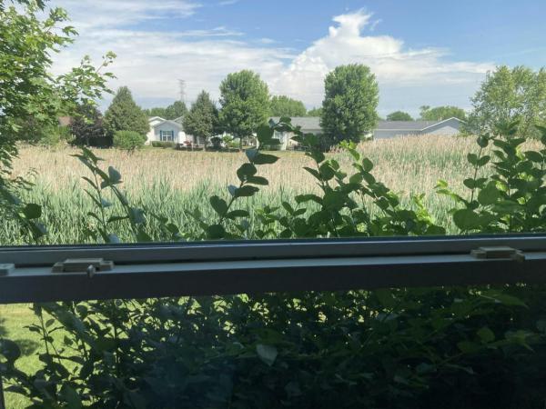 2015 Skyline Jefferson Park Manufactured Home