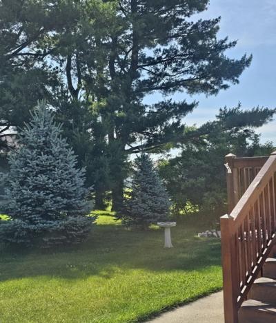 Photo 4 of 5 of home located at 2744 Harbour Court Lapeer, MI 48446
