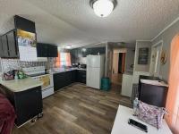 1995 SKYLINE Mobile Home
