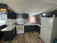 1995 SKYLINE Mobile Home