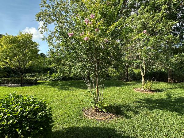 2006 PALH 2006 HS Mobile Home