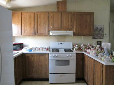 Photo 5 of 10 of home located at 95 Middleton Way Fernley, NV 89408
