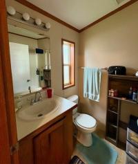 2006 Skyline Mobile Home