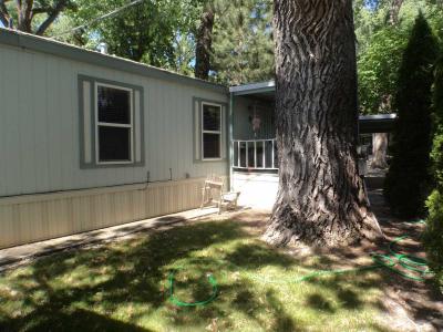 Photo 3 of 17 of home located at 64 Shadytree Lane Carson City, NV 98706