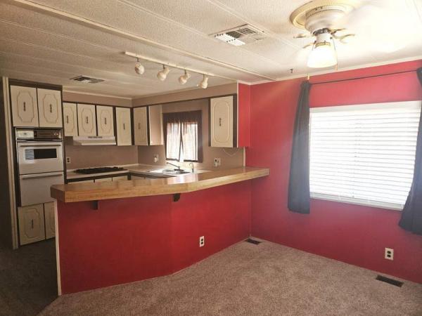 1976 American Manufactured Home