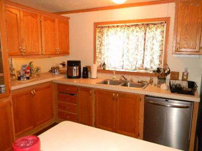 Photo 3 of 29 of home located at 141 Smoky Hill River Ct. Adrian, MI 49221