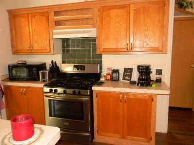 Photo 4 of 29 of home located at 141 Smoky Hill River Ct. Adrian, MI 49221