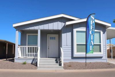 Mobile Home at 3300 E. Broadway Rd. #243 Mesa, AZ 85204
