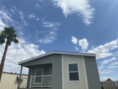 Mobile Home at 6300 W. Tropicana Ave, #338 Las Vegas, NV 89103