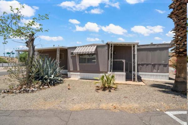 1979 Skyline Manufactured Home