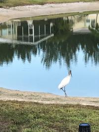 1999 Palm Harbor Manufactured Home